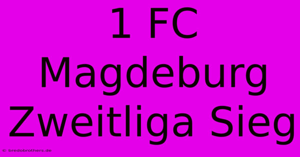 1 FC Magdeburg Zweitliga Sieg