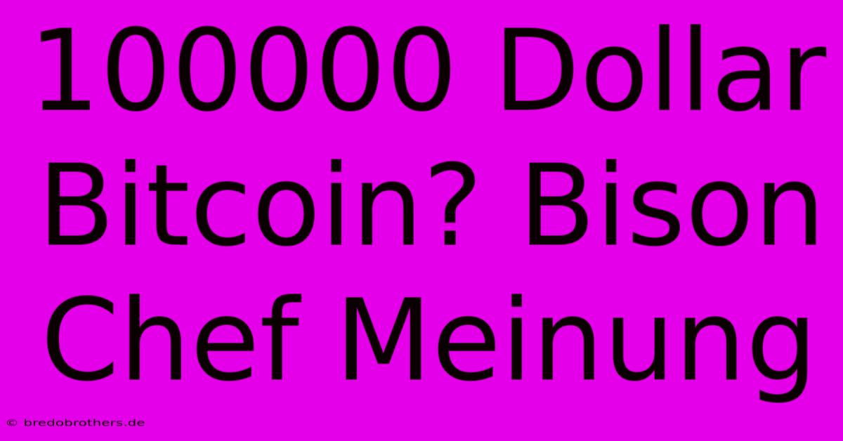 100000 Dollar Bitcoin? Bison Chef Meinung