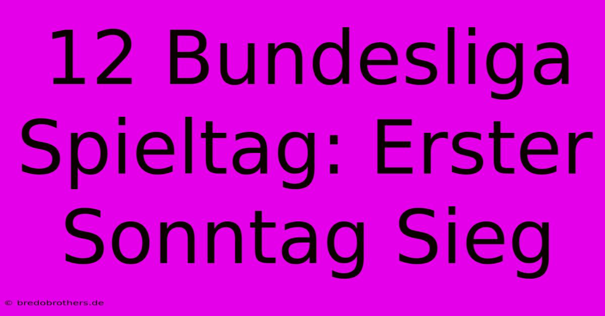 12 Bundesliga Spieltag: Erster Sonntag Sieg