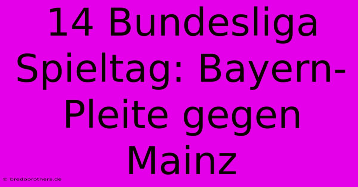 14 Bundesliga Spieltag: Bayern-Pleite Gegen Mainz