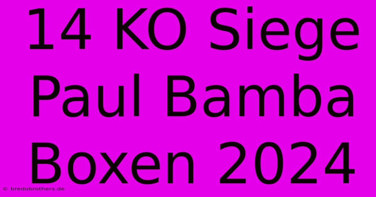 14 KO Siege Paul Bamba Boxen 2024