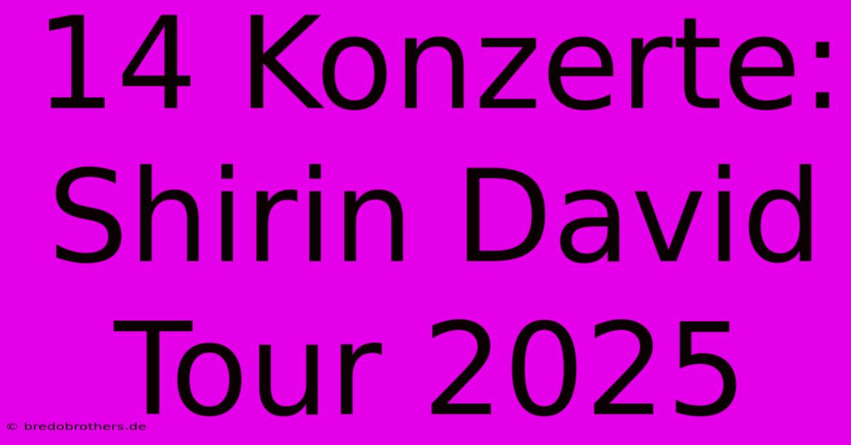 14 Konzerte: Shirin David Tour 2025