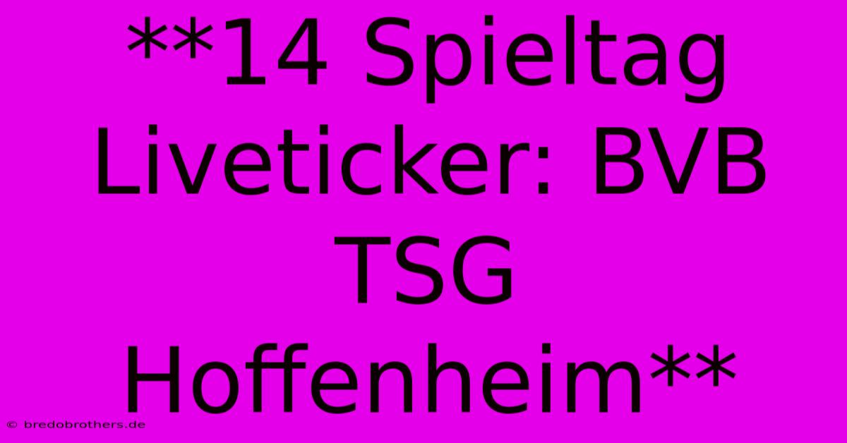 **14 Spieltag Liveticker: BVB TSG Hoffenheim**