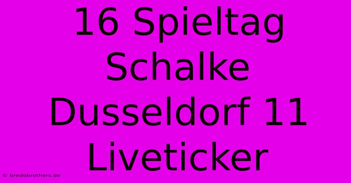 16 Spieltag Schalke Dusseldorf 11 Liveticker