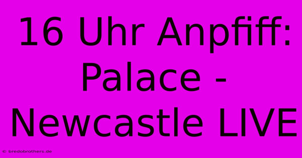 16 Uhr Anpfiff: Palace - Newcastle LIVE