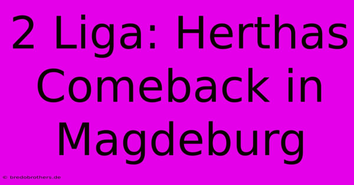 2 Liga: Herthas Comeback In Magdeburg