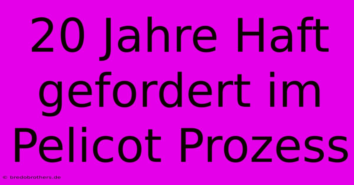 20 Jahre Haft Gefordert Im Pelicot Prozess