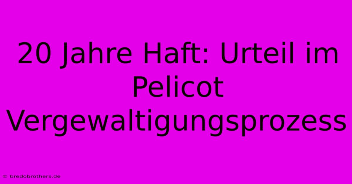 20 Jahre Haft: Urteil Im Pelicot Vergewaltigungsprozess