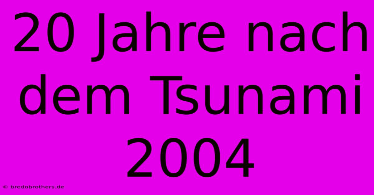 20 Jahre Nach Dem Tsunami 2004