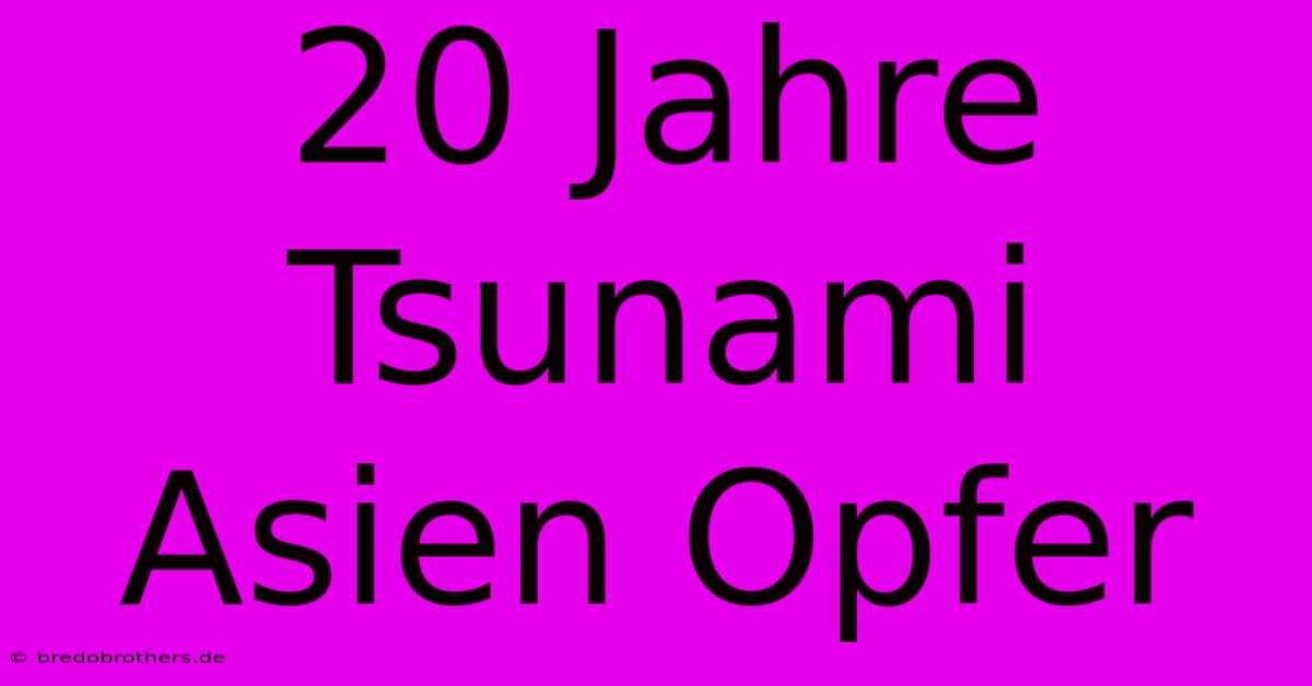 20 Jahre Tsunami Asien Opfer