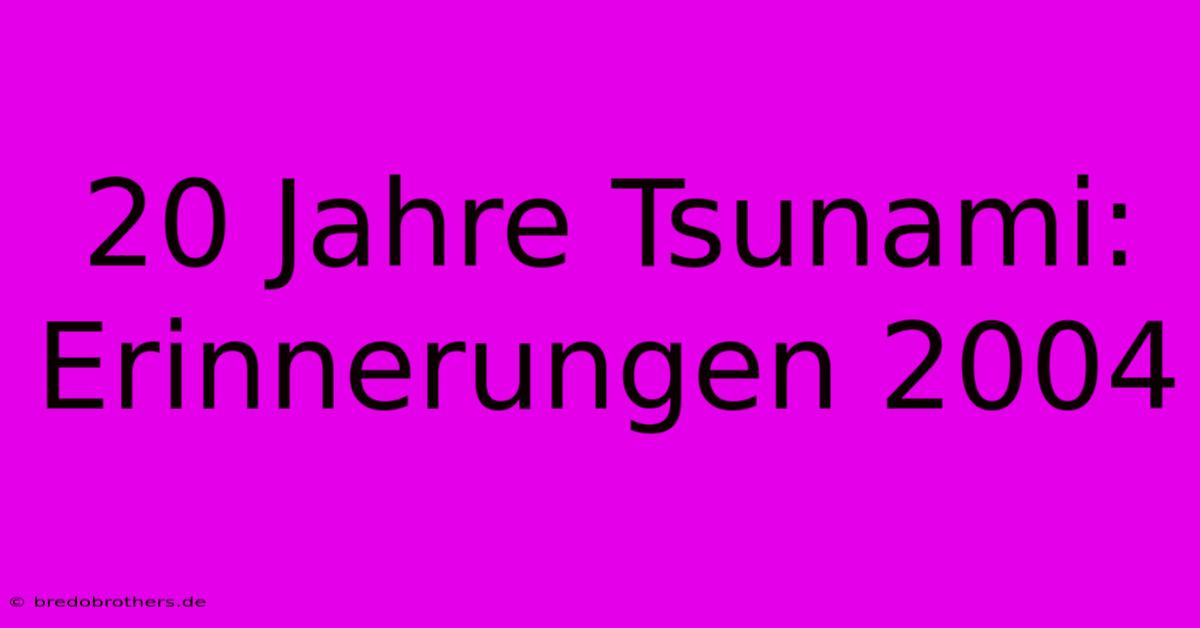 20 Jahre Tsunami: Erinnerungen 2004