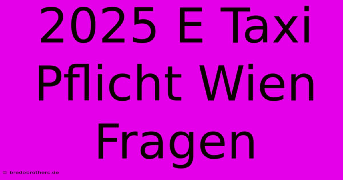 2025 E Taxi Pflicht Wien  Fragen