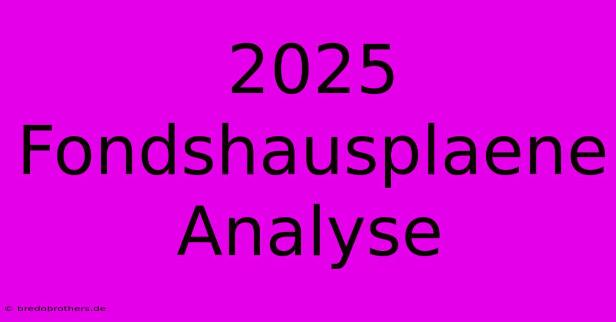 2025 Fondshausplaene  Analyse