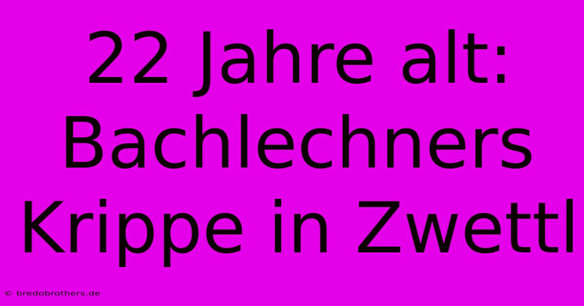 22 Jahre Alt: Bachlechners Krippe In Zwettl