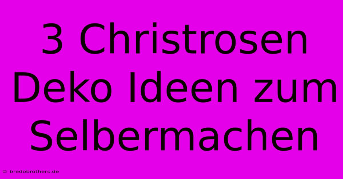 3 Christrosen Deko Ideen Zum Selbermachen