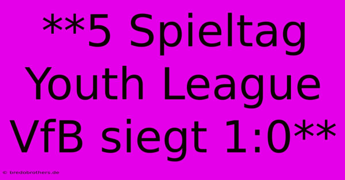 **5 Spieltag Youth League VfB Siegt 1:0**