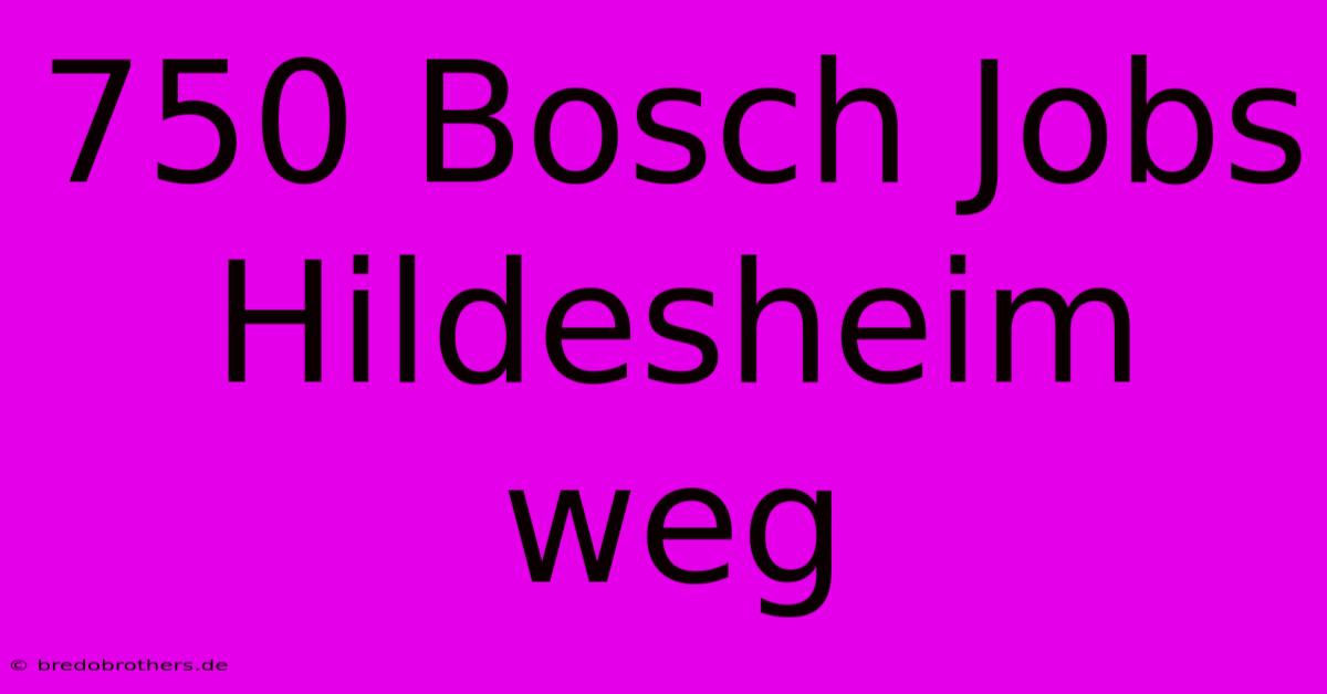 750 Bosch Jobs Hildesheim Weg