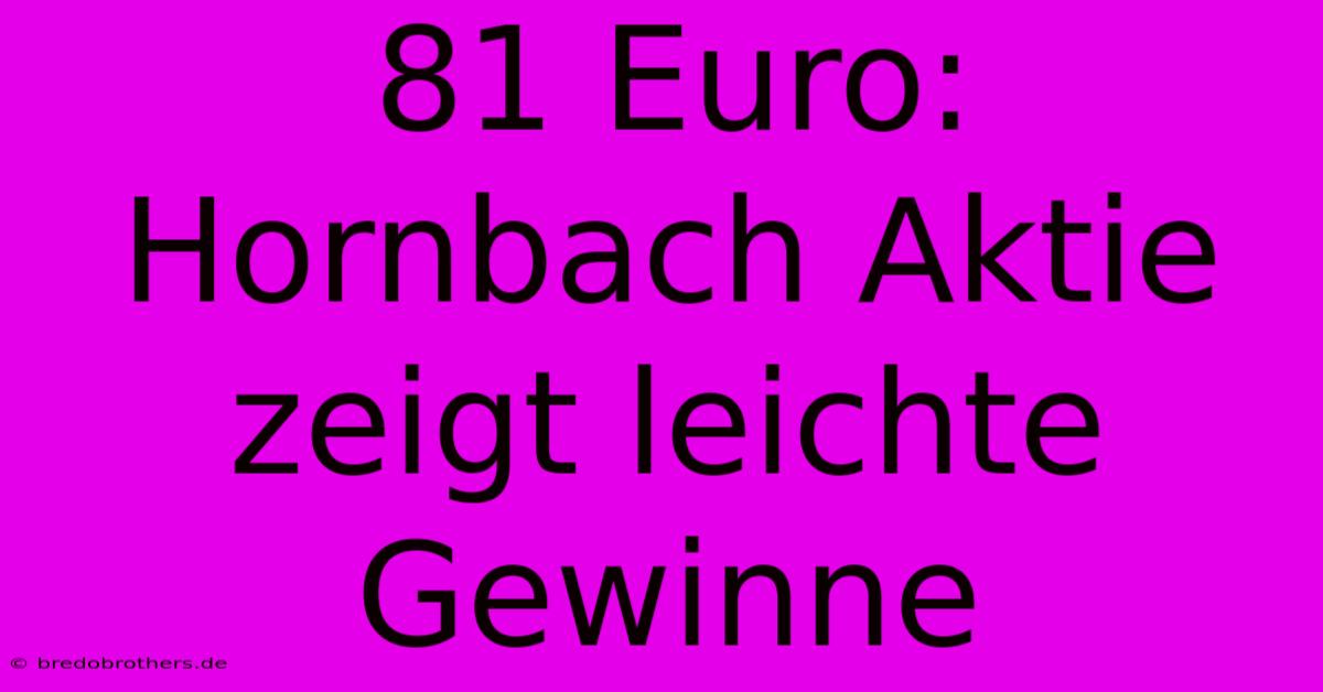 81 Euro: Hornbach Aktie Zeigt Leichte Gewinne