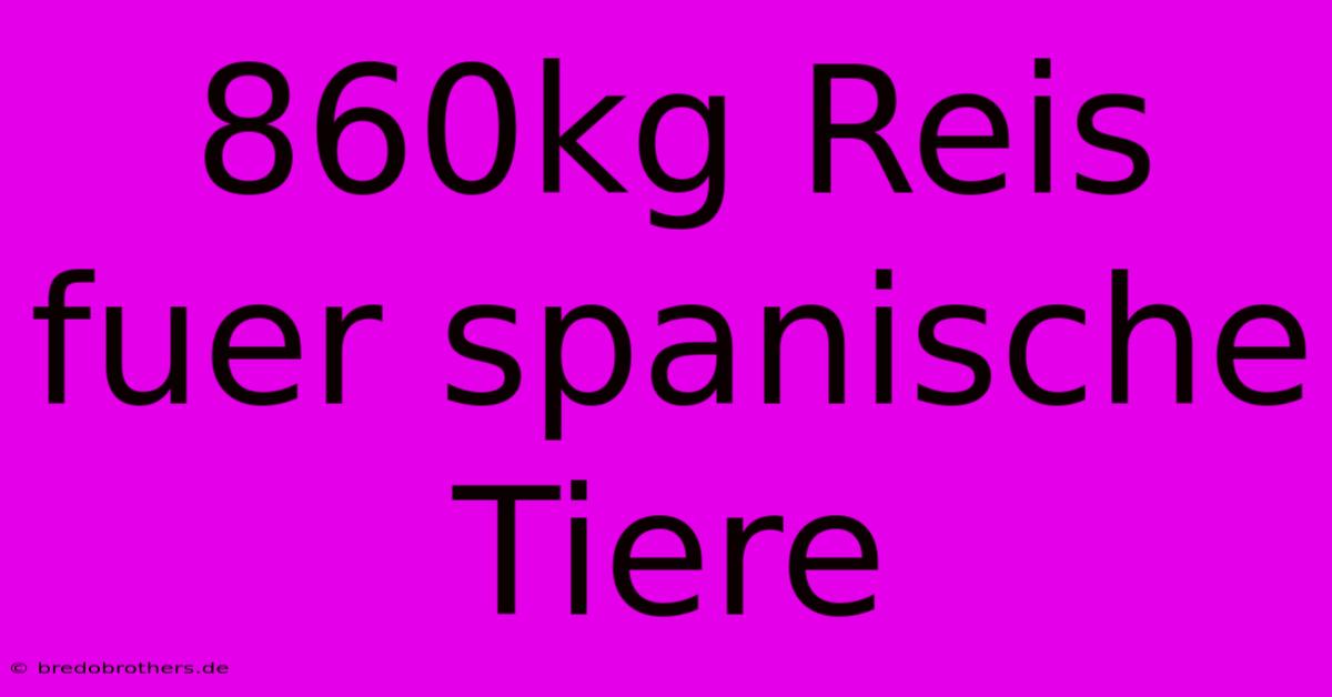 860kg Reis Fuer Spanische Tiere