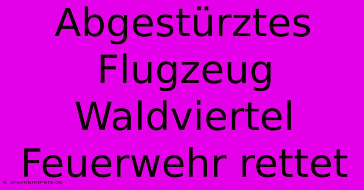 Abgestürztes Flugzeug Waldviertel Feuerwehr Rettet