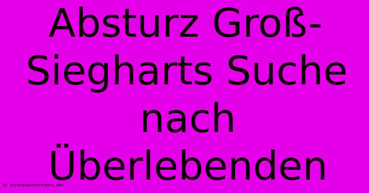 Absturz Groß-Siegharts Suche Nach Überlebenden