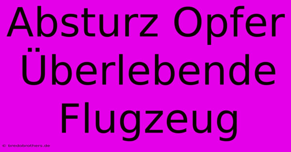 Absturz Opfer Überlebende Flugzeug