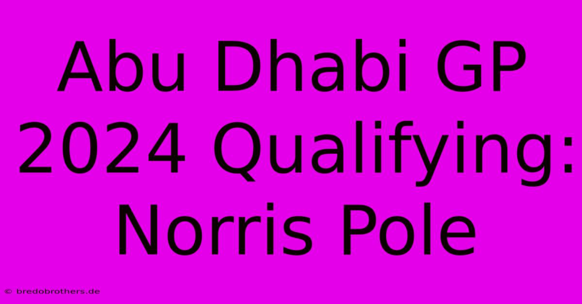 Abu Dhabi GP 2024 Qualifying: Norris Pole