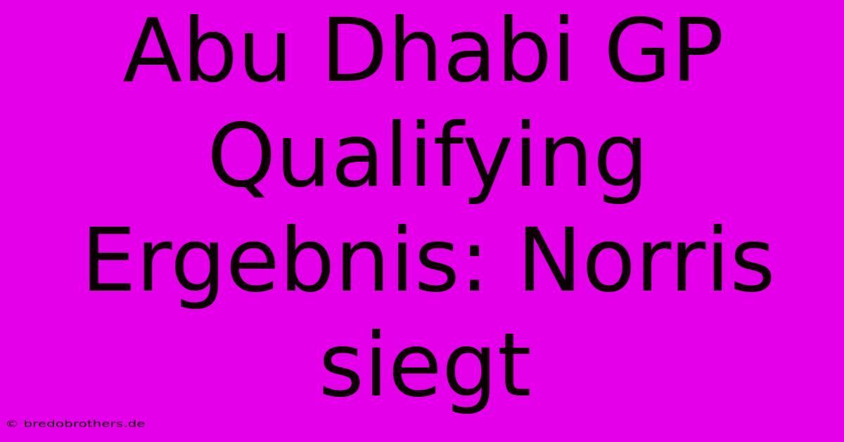 Abu Dhabi GP Qualifying Ergebnis: Norris Siegt