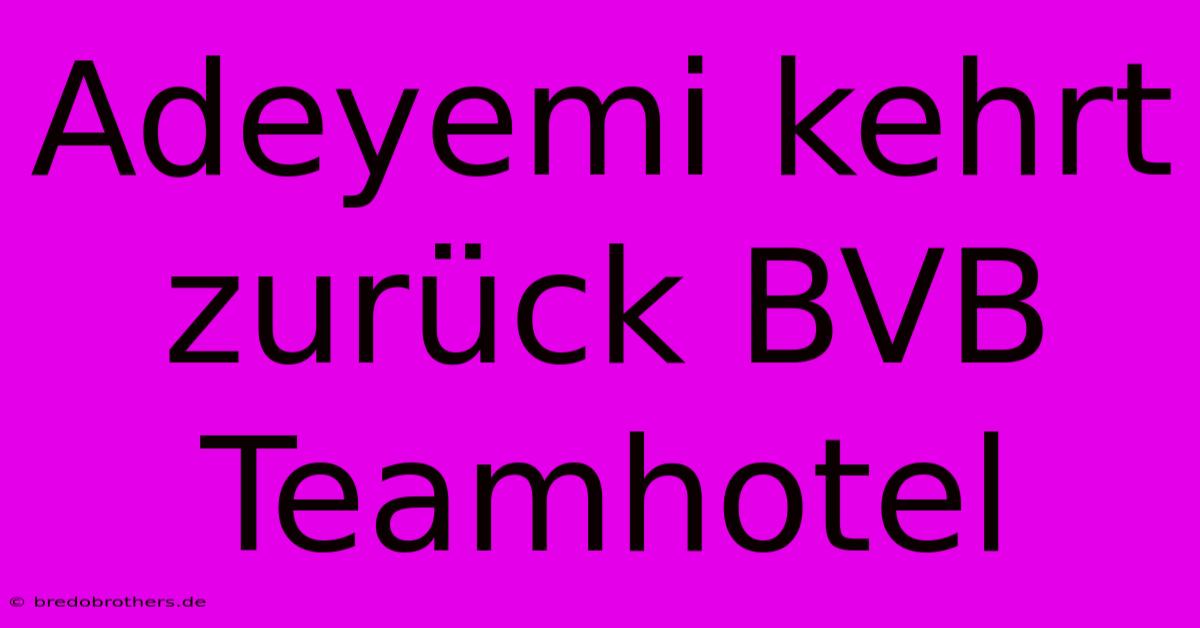 Adeyemi Kehrt Zurück BVB Teamhotel