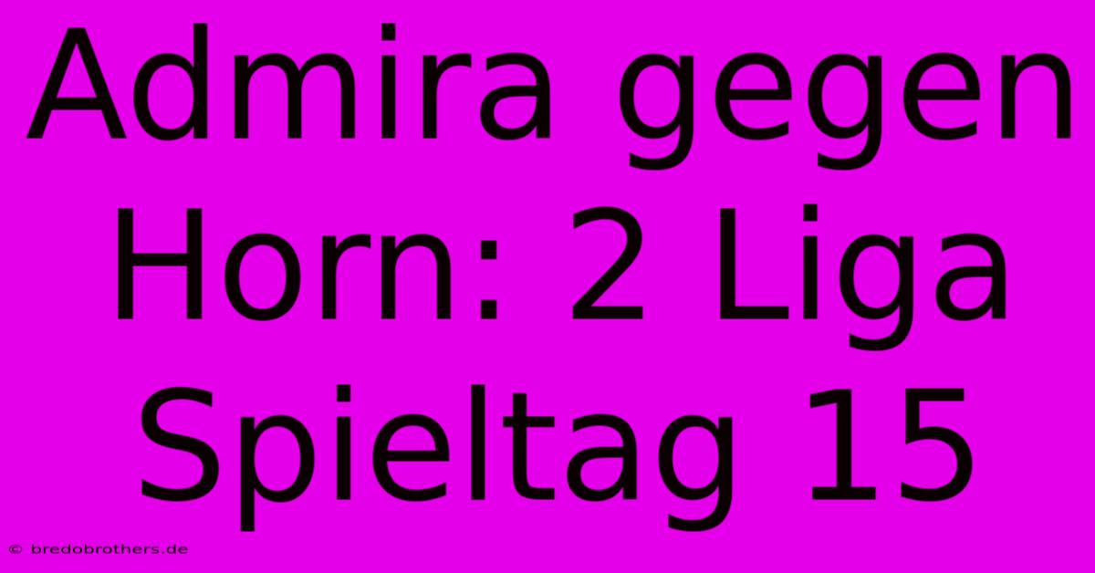 Admira Gegen Horn: 2 Liga Spieltag 15