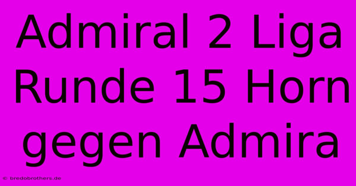 Admiral 2 Liga Runde 15 Horn Gegen Admira