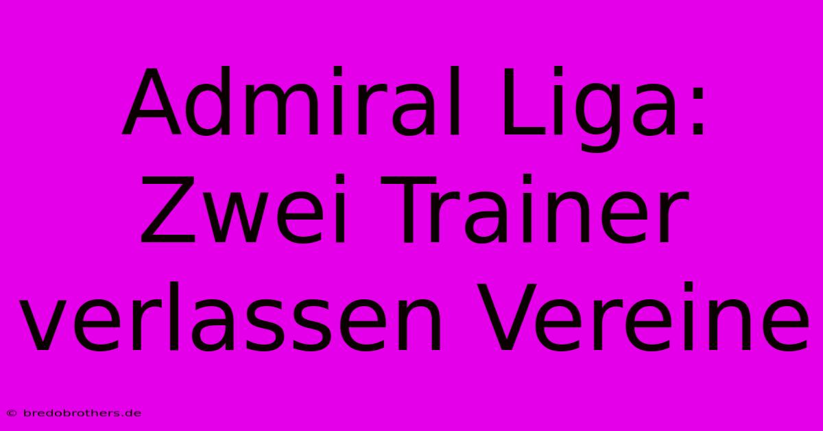 Admiral Liga: Zwei Trainer Verlassen Vereine