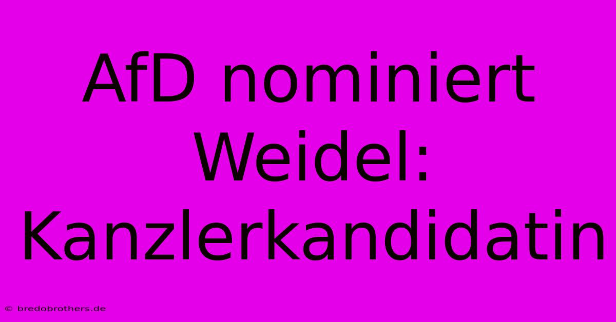 AfD Nominiert Weidel: Kanzlerkandidatin