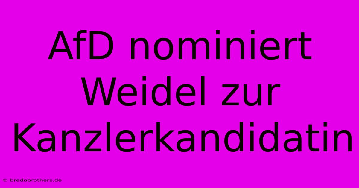 AfD Nominiert Weidel Zur Kanzlerkandidatin