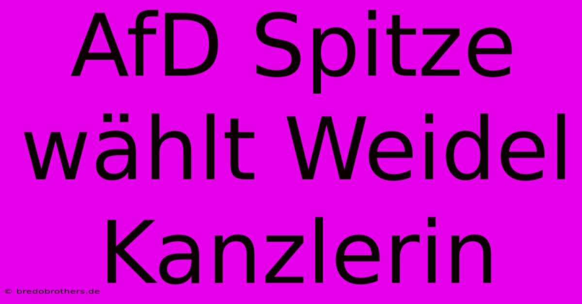 AfD Spitze Wählt Weidel Kanzlerin