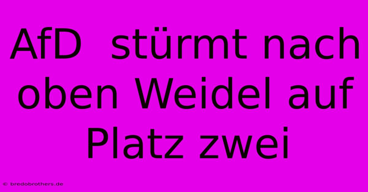 AfD  Stürmt Nach Oben Weidel Auf Platz Zwei