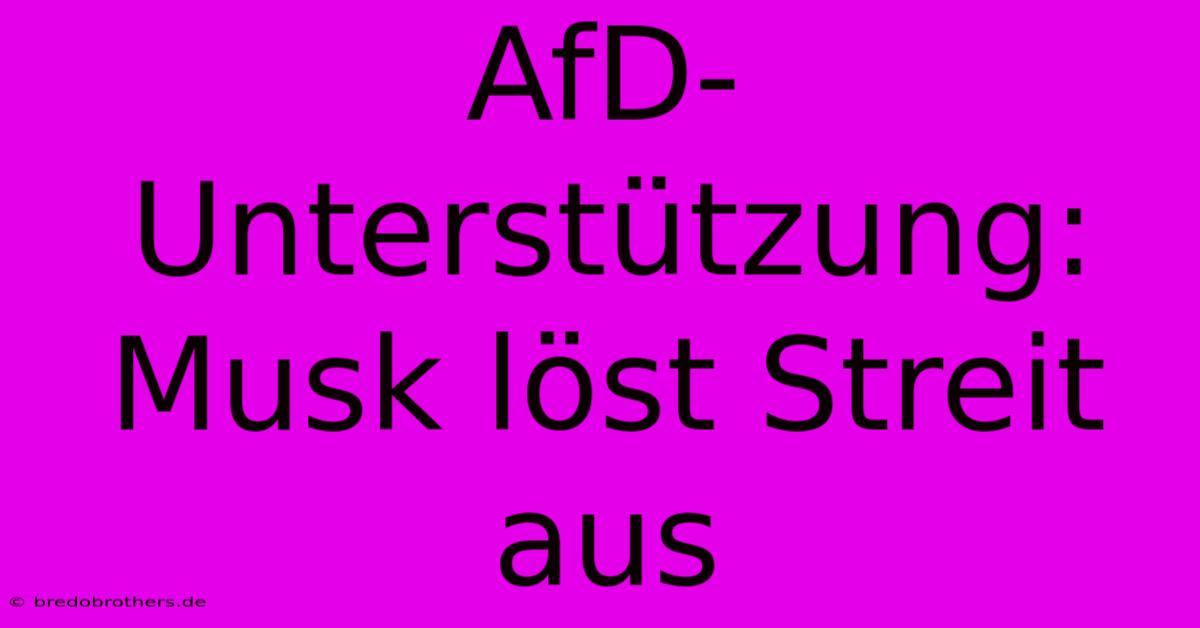 AfD-Unterstützung: Musk Löst Streit Aus