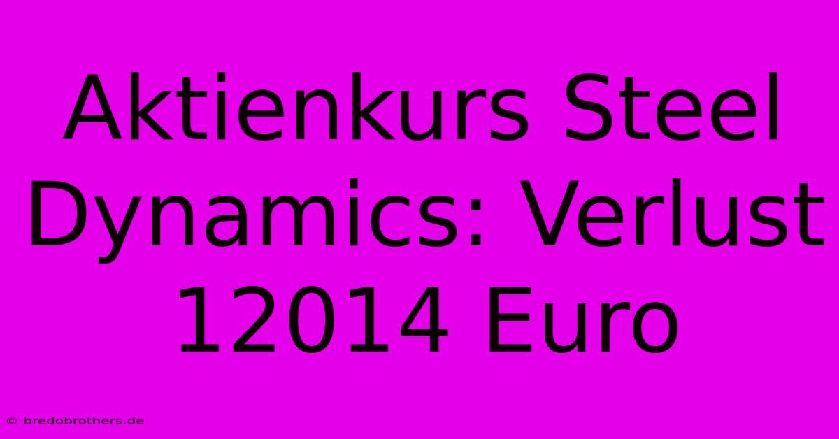 Aktienkurs Steel Dynamics: Verlust 12014 Euro