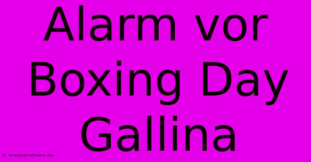 Alarm Vor Boxing Day Gallina