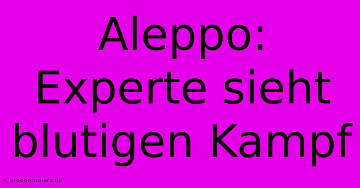 Aleppo: Experte Sieht Blutigen Kampf