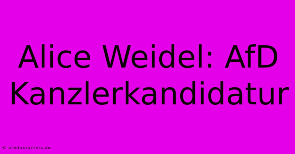 Alice Weidel: AfD Kanzlerkandidatur