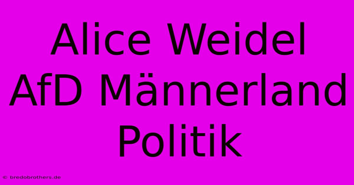 Alice Weidel AfD Männerland Politik