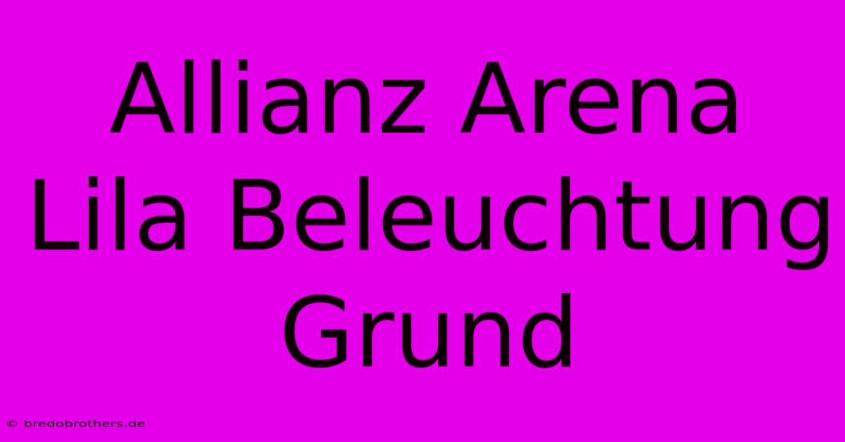 Allianz Arena Lila Beleuchtung Grund