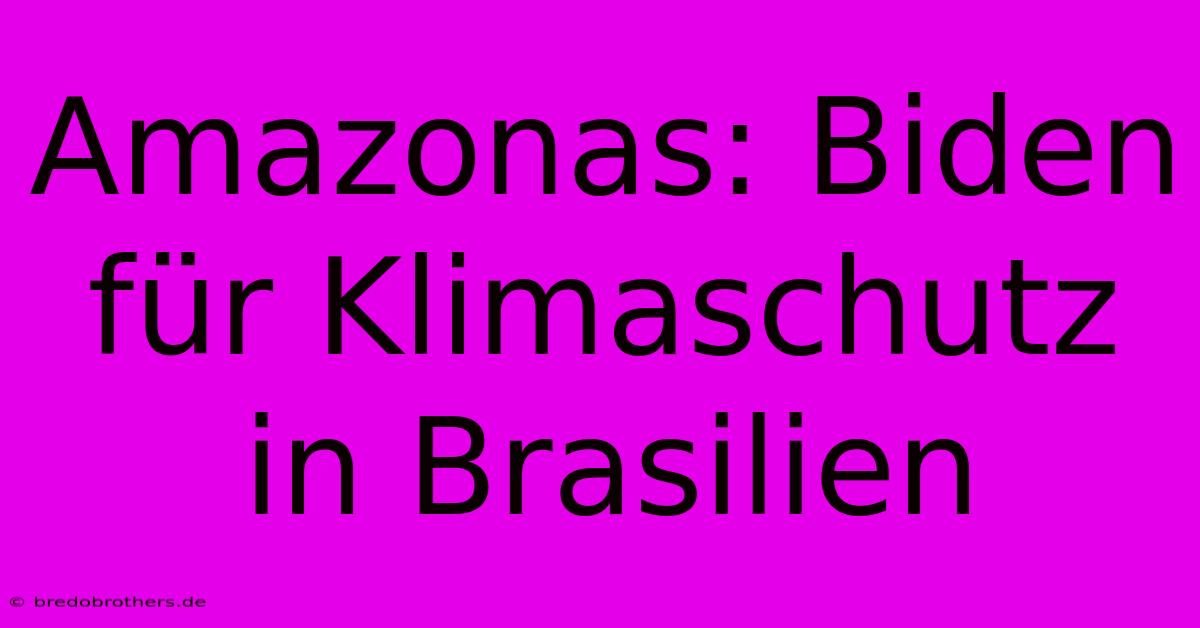 Amazonas: Biden Für Klimaschutz In Brasilien