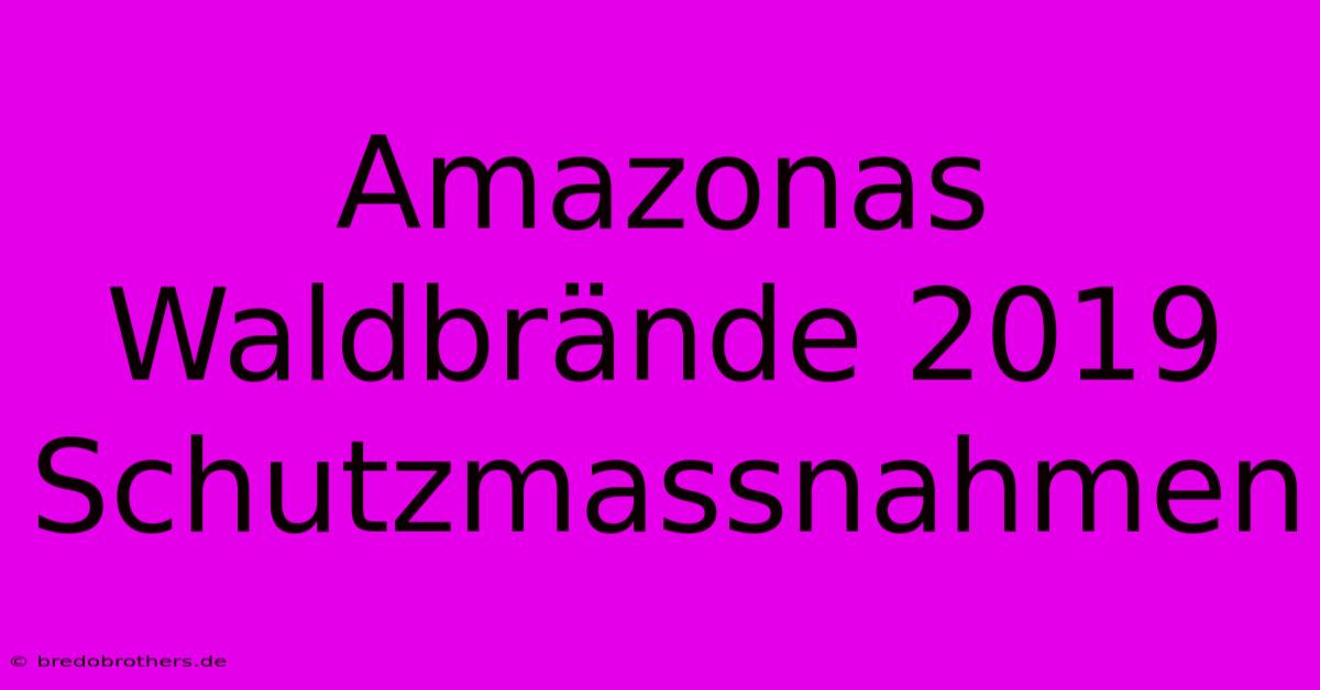 Amazonas Waldbrände 2019  Schutzmassnahmen