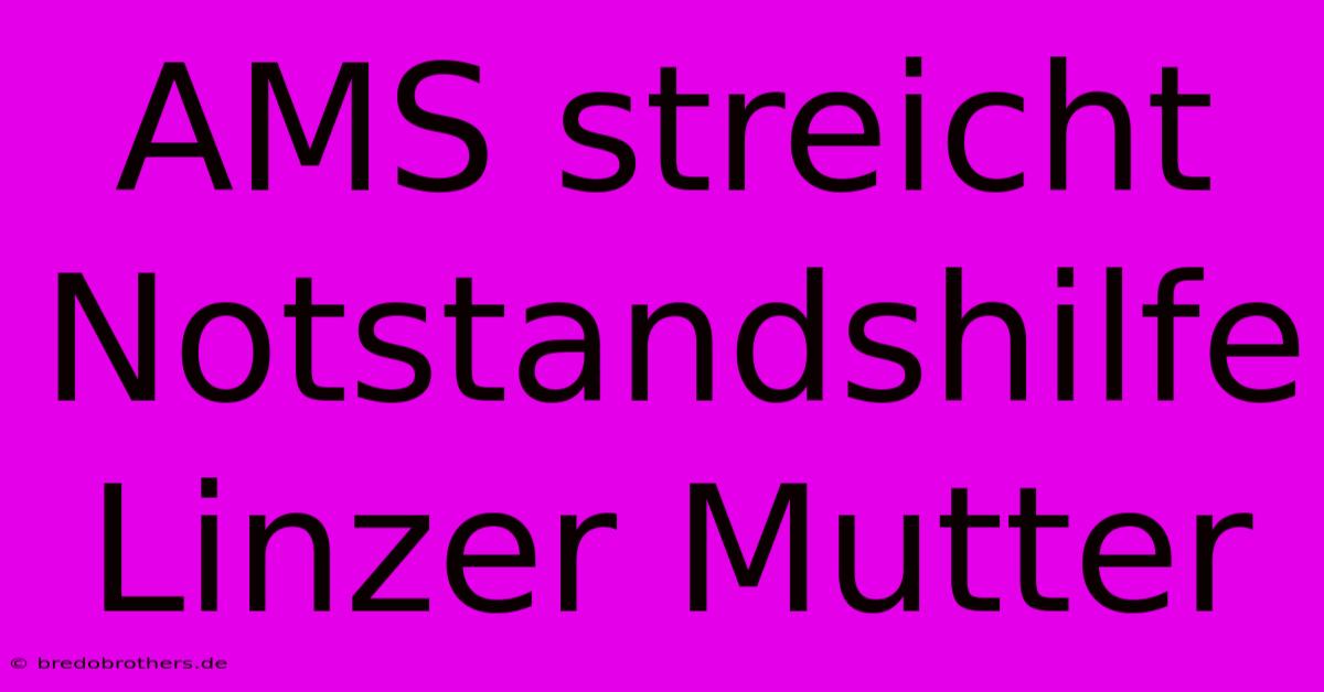 AMS Streicht Notstandshilfe Linzer Mutter