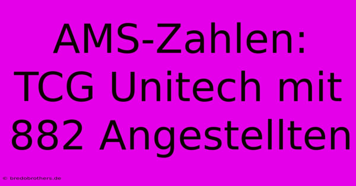 AMS-Zahlen: TCG Unitech Mit 882 Angestellten