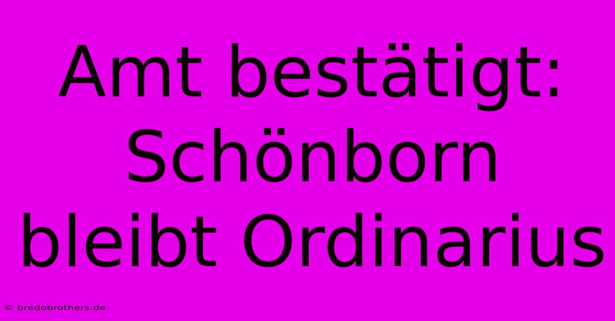 Amt Bestätigt: Schönborn Bleibt Ordinarius