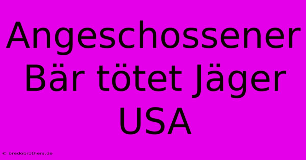 Angeschossener Bär Tötet Jäger USA