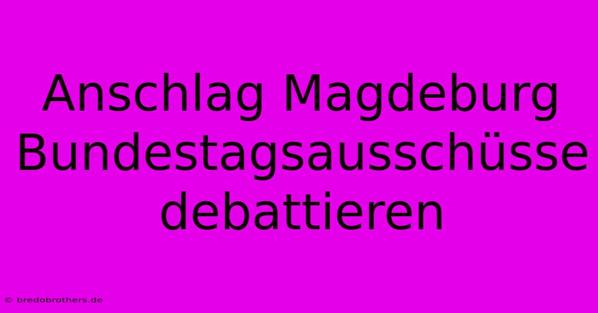 Anschlag Magdeburg Bundestagsausschüsse Debattieren